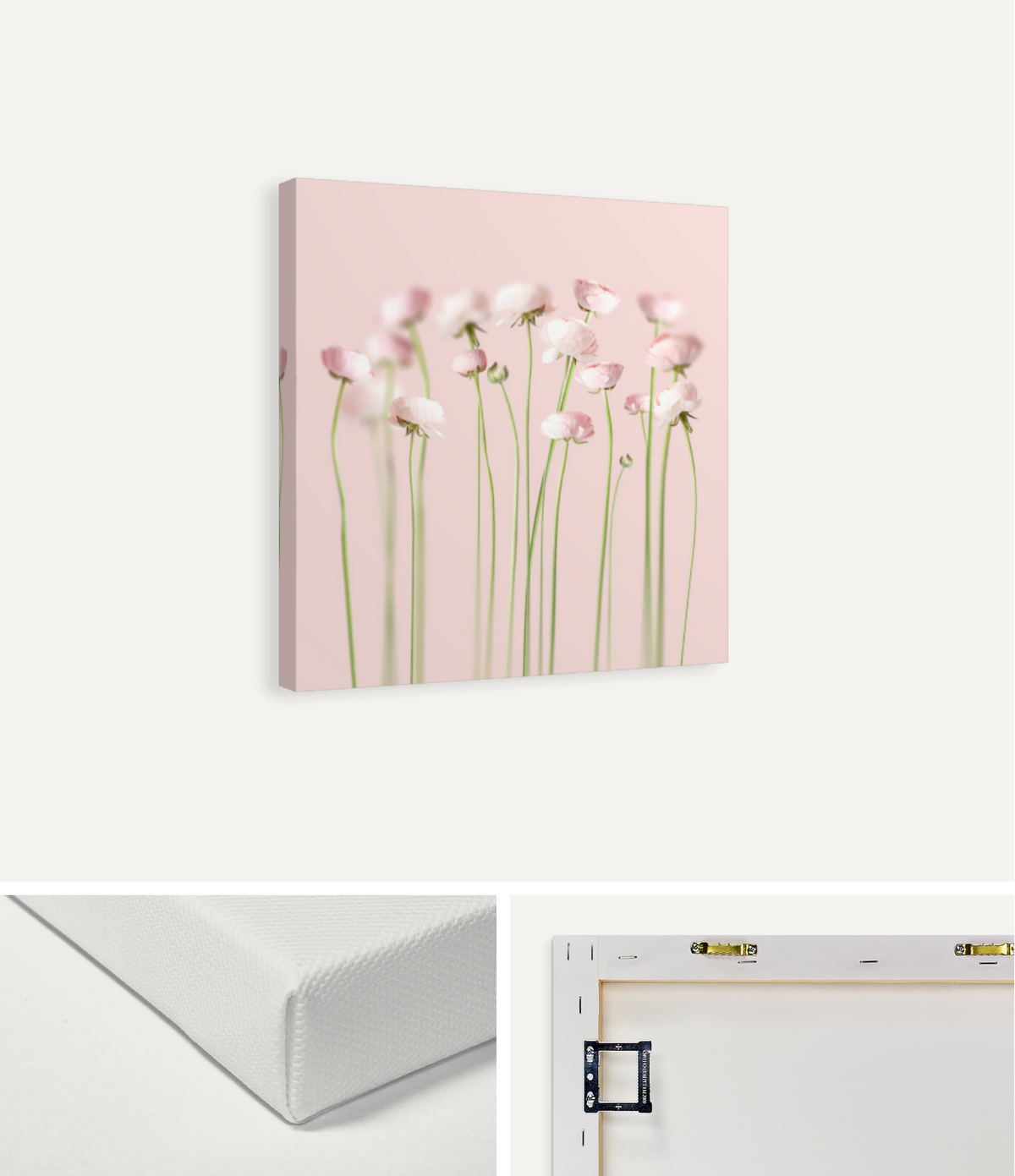 Pink Peonies Canvas Print