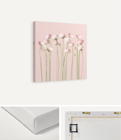 Pink Peonies Canvas Print
