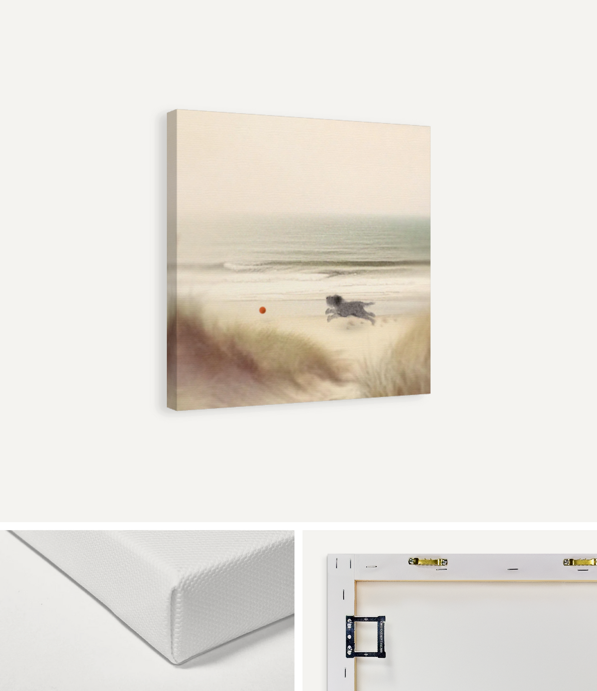 Little Dog at the Beach Canvas Print