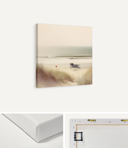 Little Dog at the Beach Canvas Print