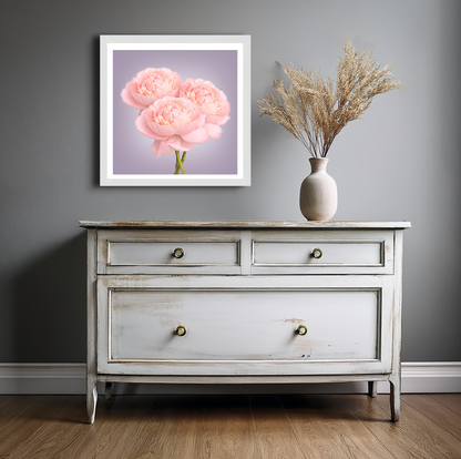 Peonies Bunch Print