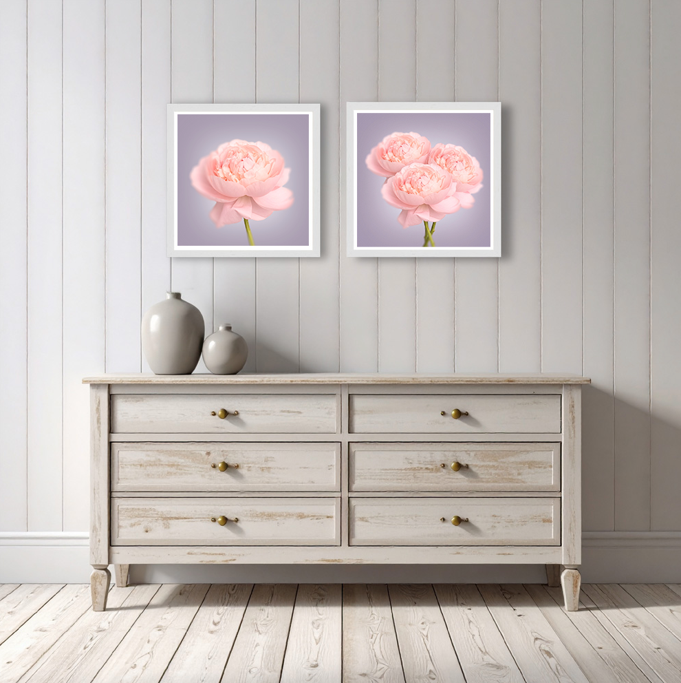 Peonies Bunch Print