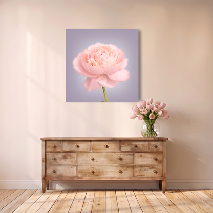 Pink Peony Canvas Print