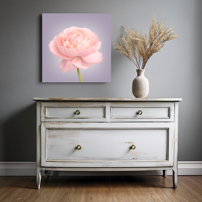 Pink Peony Canvas Print