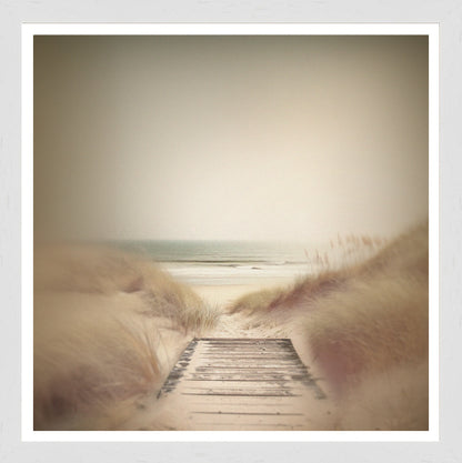 White Grain