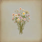 Pressed Wildflowers print
