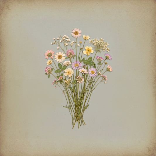 Pressed Wildflowers print