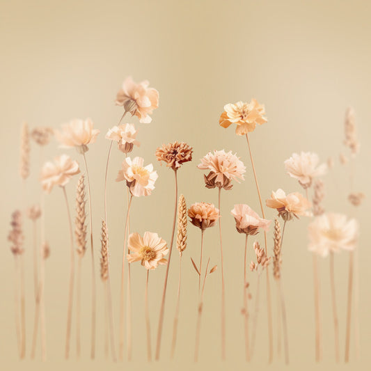 Wildflowers pale yellow