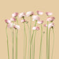 Pink peonies No 2