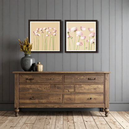 Pink peonies No 1
