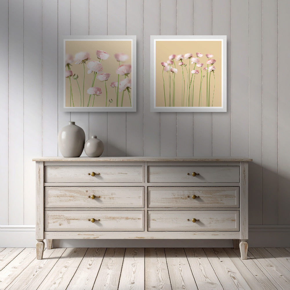 Pink peonies No 1