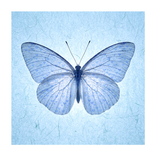 Blue Butterfly with Hearts card