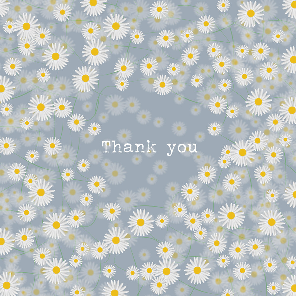 Daisies Thank you