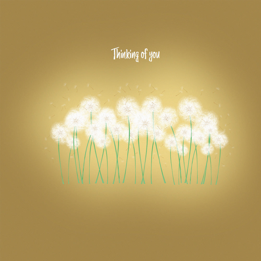 Forever Forest