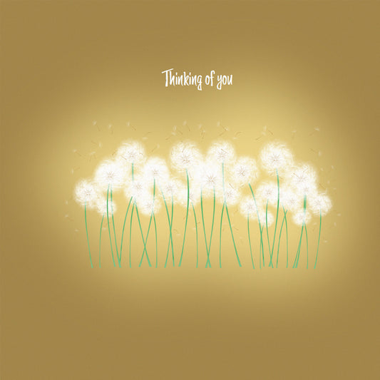 Forever Forest