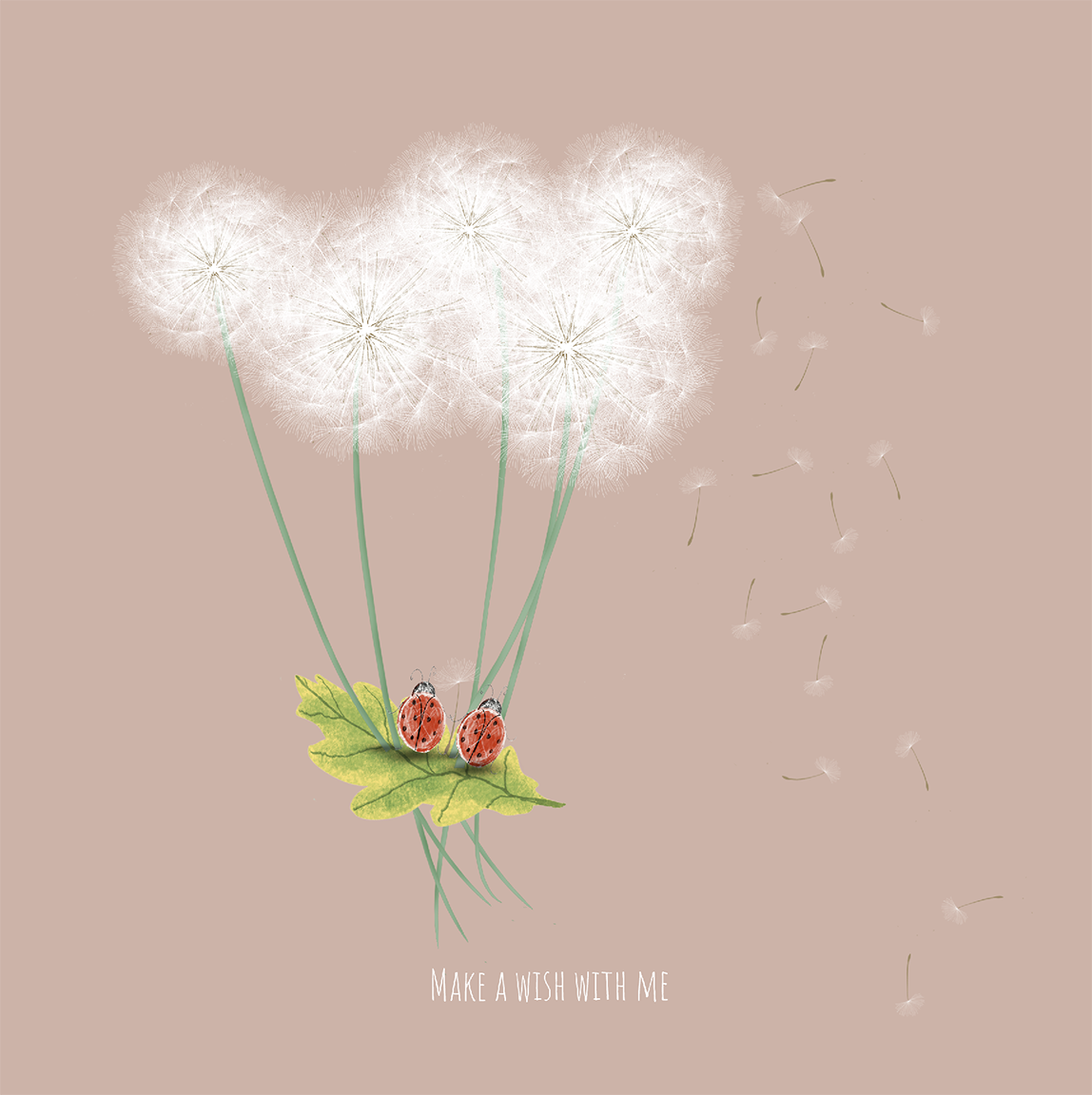 Make a wish with me
